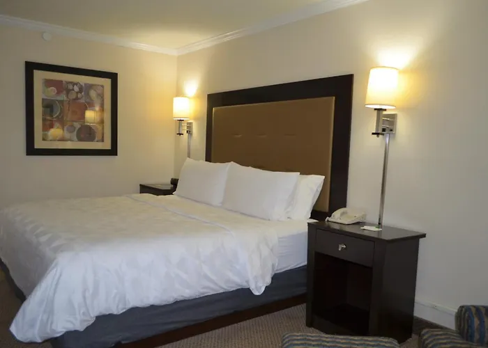 By Ihg Rock Springs